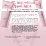 Ryxskin Sincerity Pore Care Defense Set